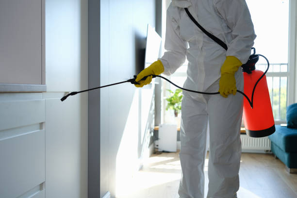 Best Certified Mold Removal  in Alexandria, MN